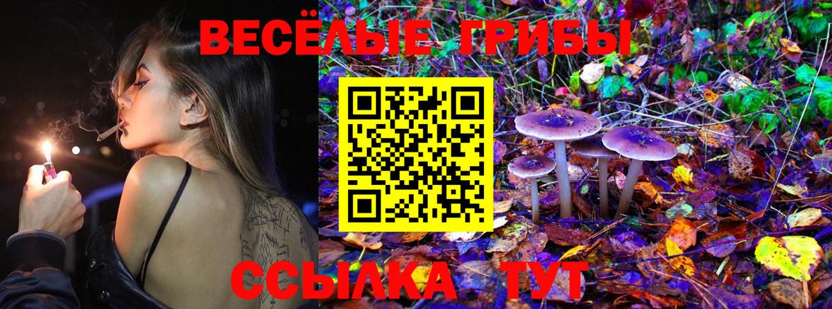 Галлюциногенные грибы Psilocybine cubensis  Вход с VPN  Омск 